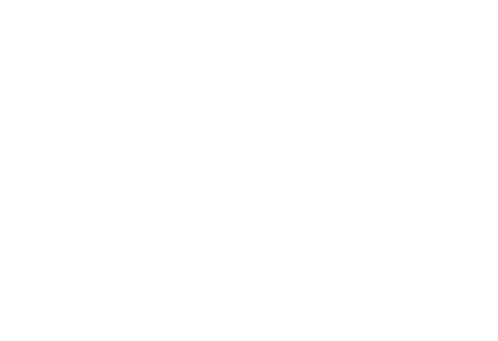 Multi Arms Co.